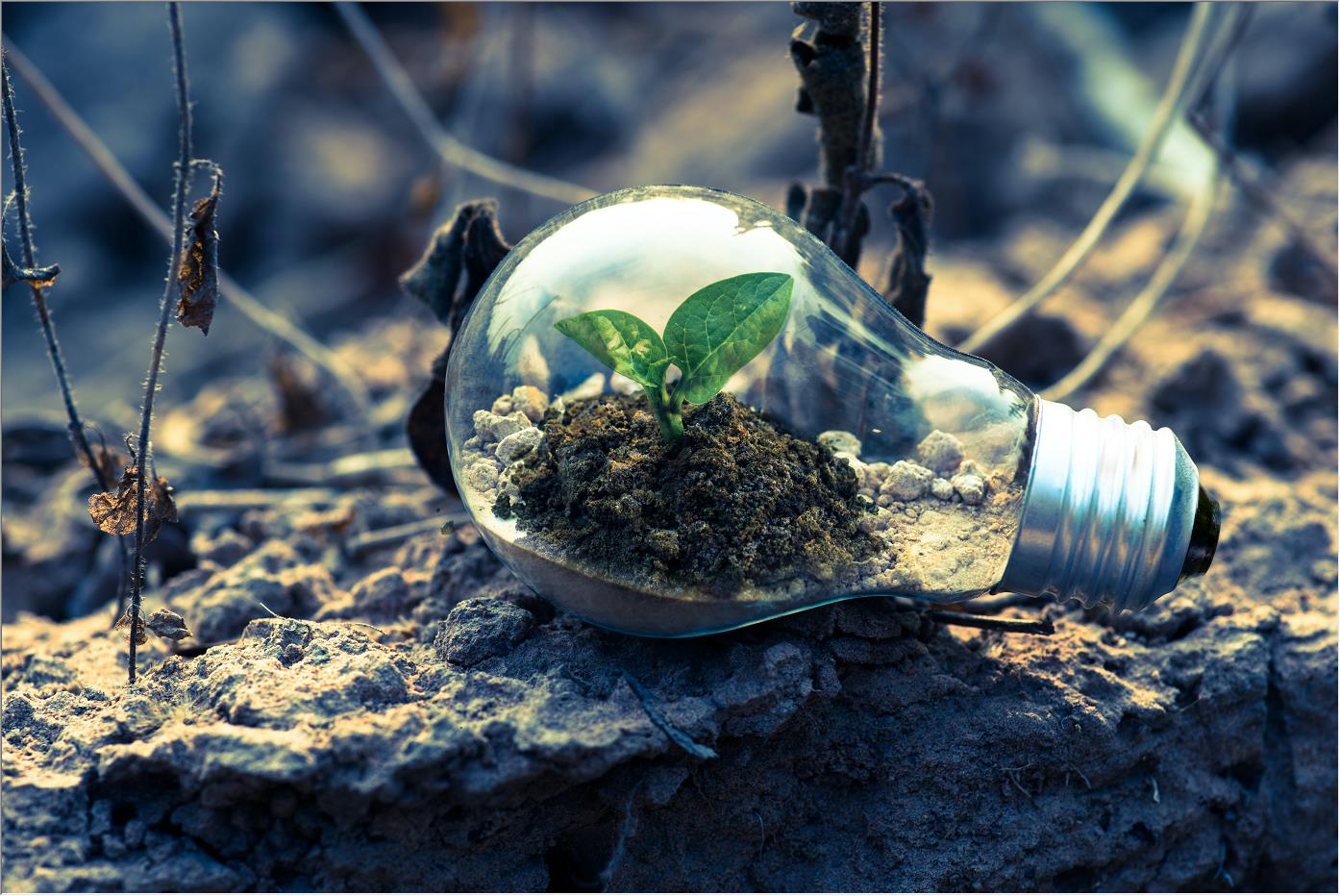 建筑項目的最新趨勢是什么？